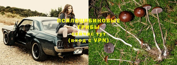скорость Абаза
