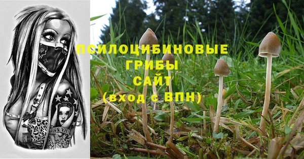 скорость Абаза