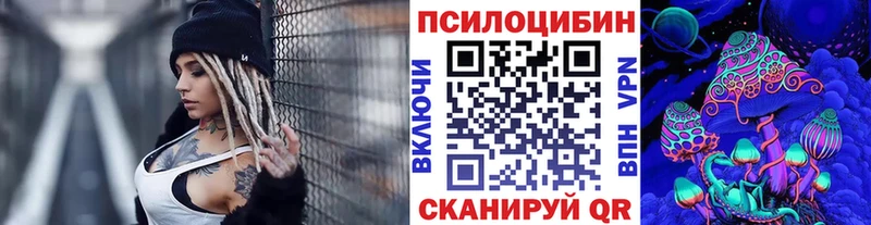 Псилоцибиновые грибы мицелий  blacksprut ссылки  Щёкино 